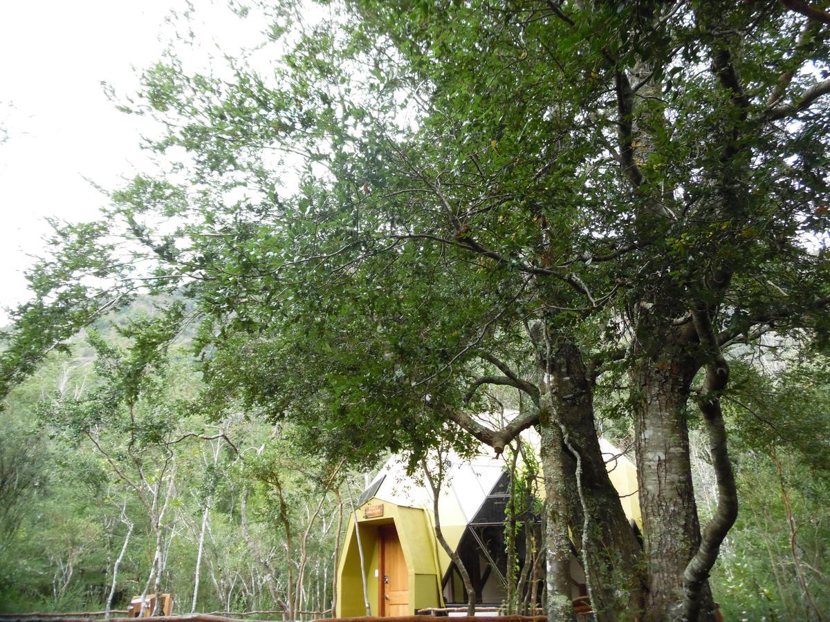 Cuyinco Domos Rininahue Exterior foto